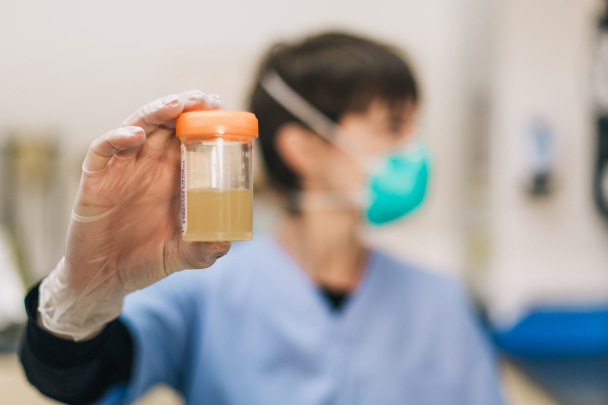Laboratory technician taking a blood sample from a seated patient at a diagnostics collection counter