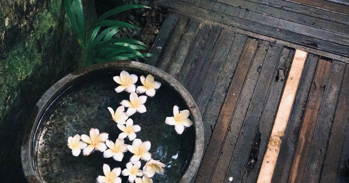 Guide to massage booking app setup