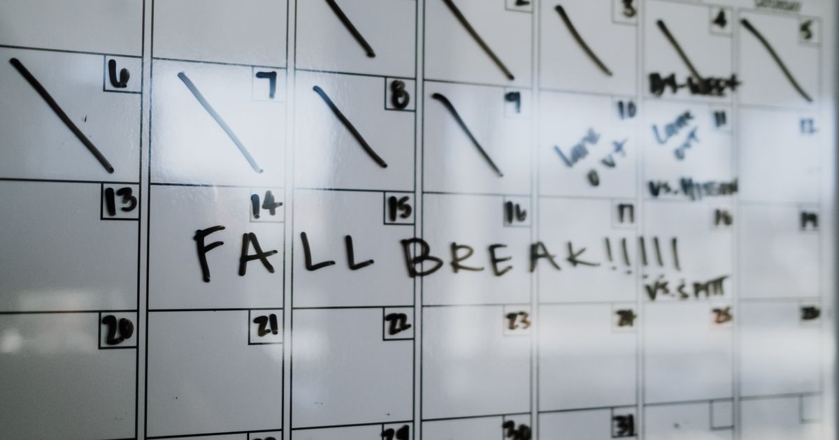 online scheduling tool guide
