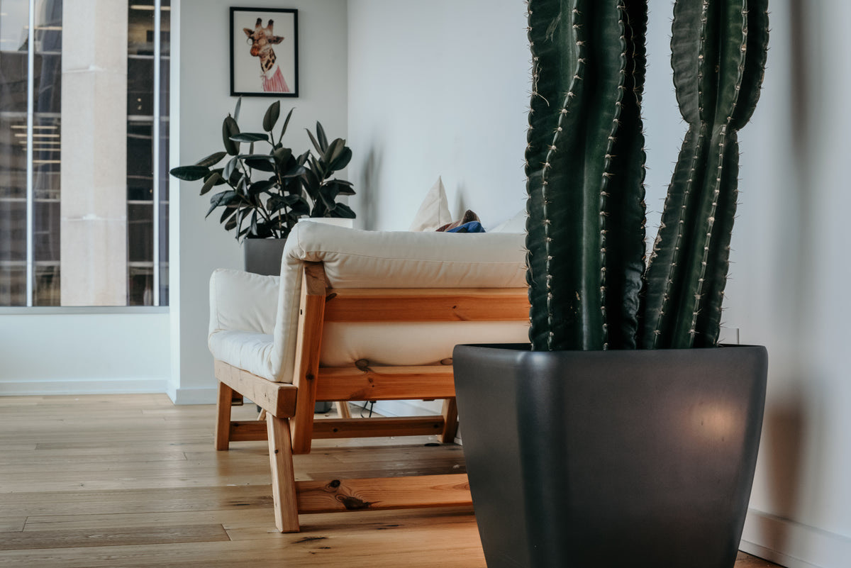 Wellness center lounge with soft seating and natural light where guests wait before treatments
